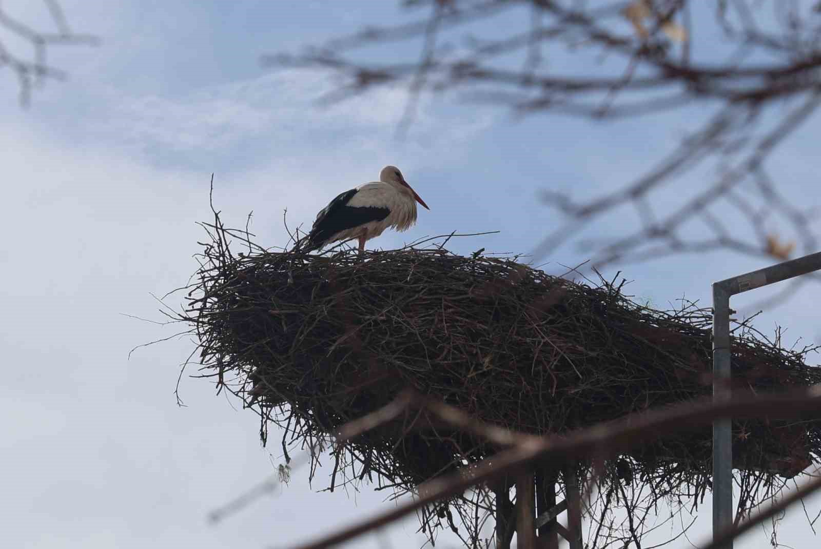 Konya'ya bahar şimdi geldi