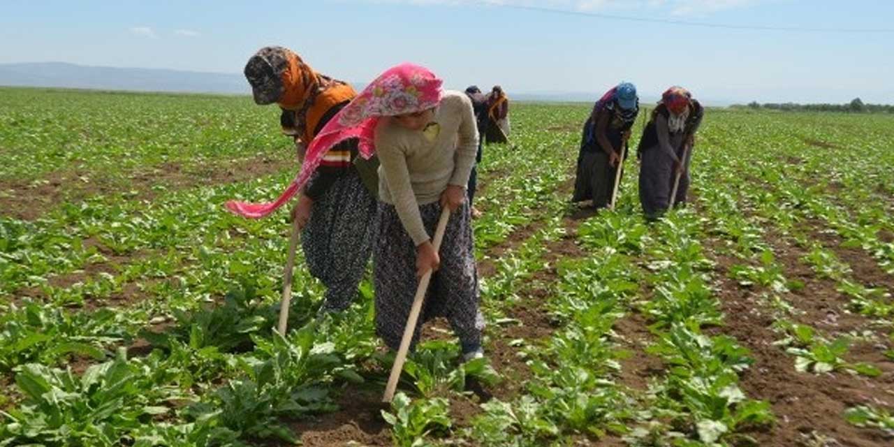 Konya'da yabancıların maaşları belli oldu! Karar açıklandı