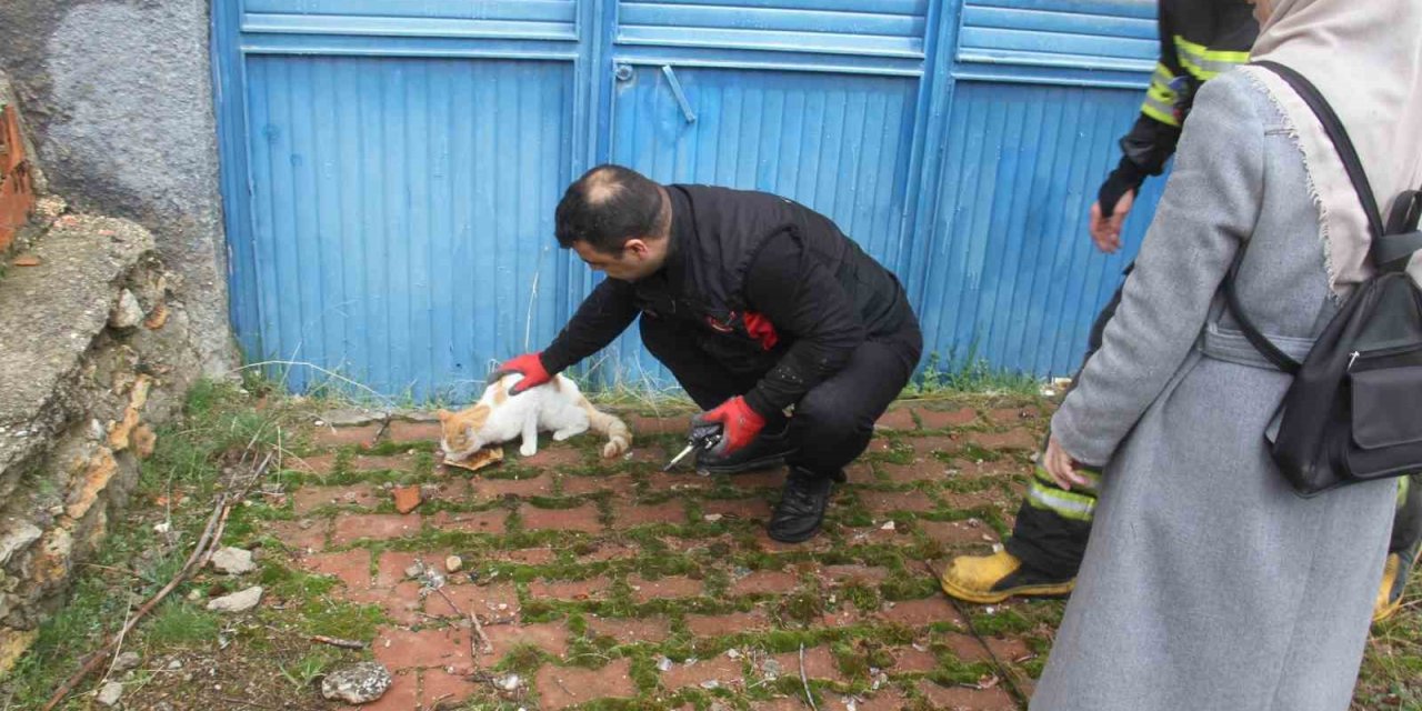 Açlıktan bitkin düşen kediyi itfaiye ekipleri kurtarıldı