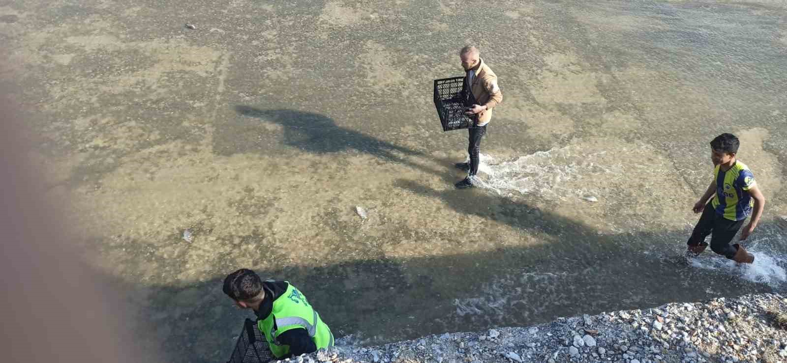 Aman balık kaçmasın