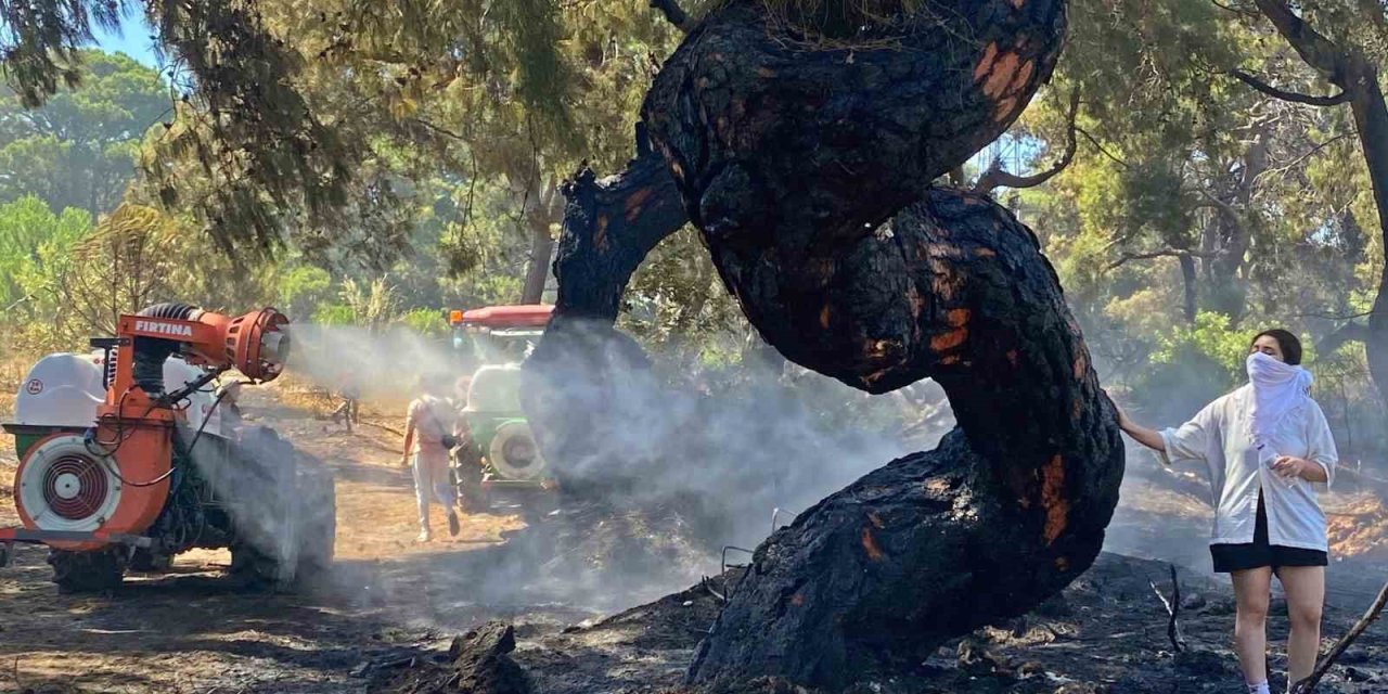 Antalya’da yılın serbest fotoğraf ödülü İHA’ya