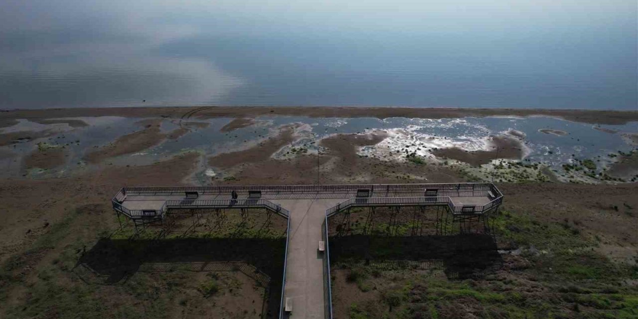 Mavi Cennetten Toz Bulutuna: İznik Gölü Can Çekişiyor!