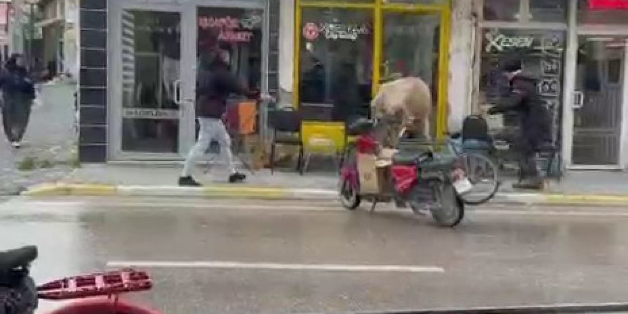 Çay ocağında inek paniği