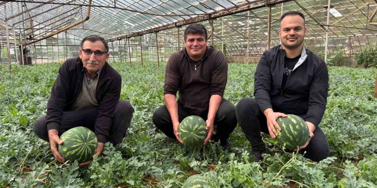 Antalya karpuzunda geri sayım başladı