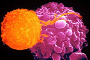 Japonya'daki nükleer felaket