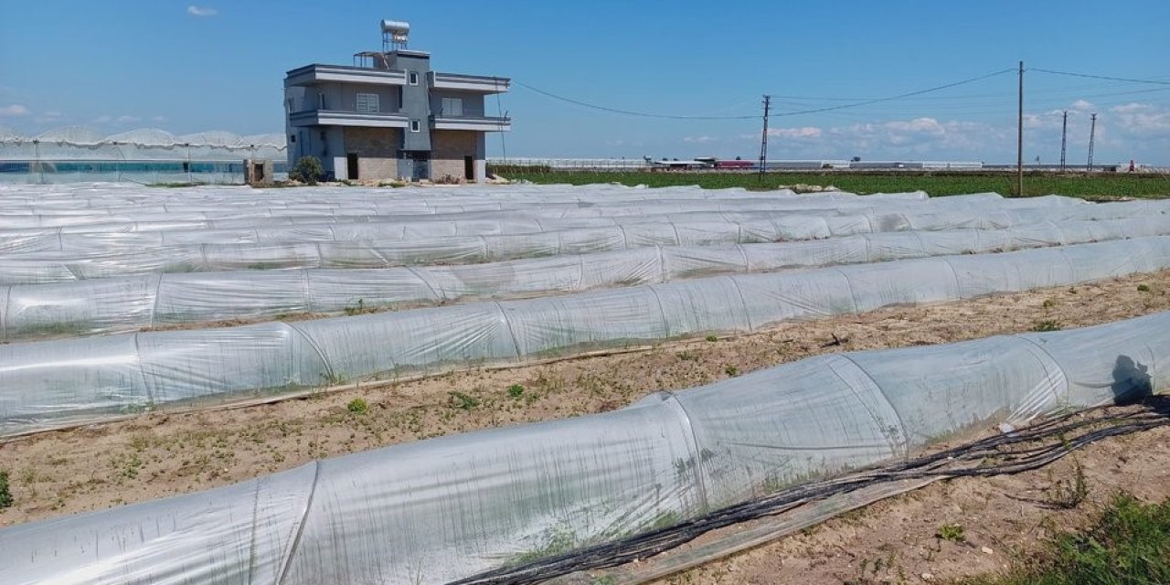 Tarsus'taki "Marul" İddialarına Bakanlıktan Yanıt