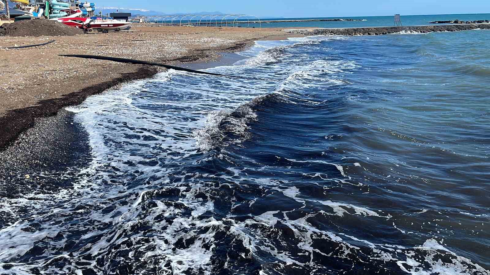 Alanya'da deniz çayırı korkusu! Türkler sahili siyaha boyandı