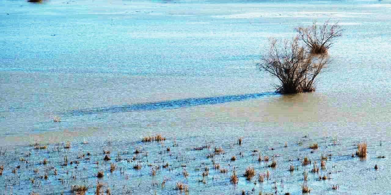 Haritadan Siliniyordu, Doğa Geri Verdi! Akşehir Gölü Gözlerini Açtı!