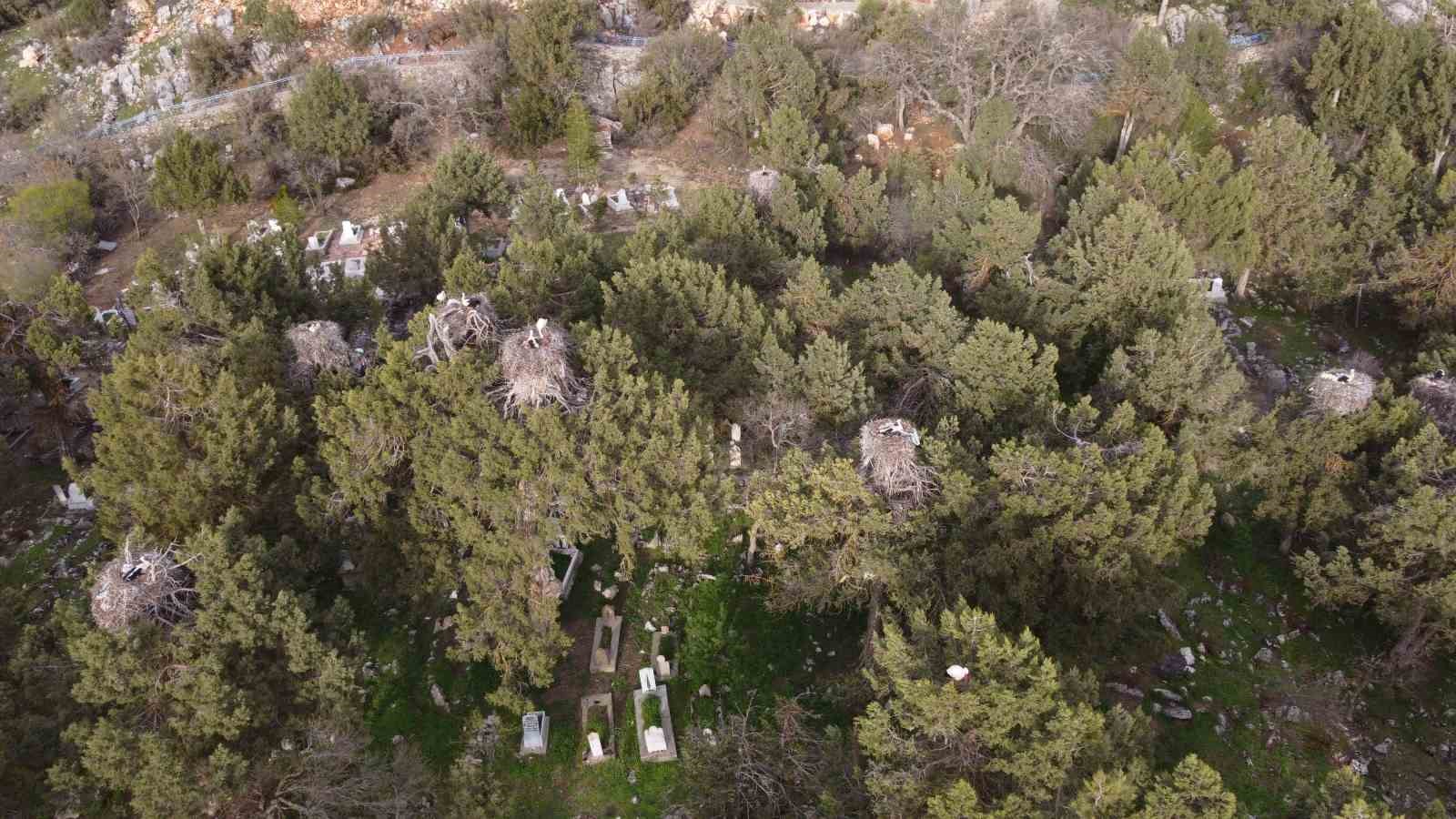 Leylekler Vadisi sahiplerine teslim