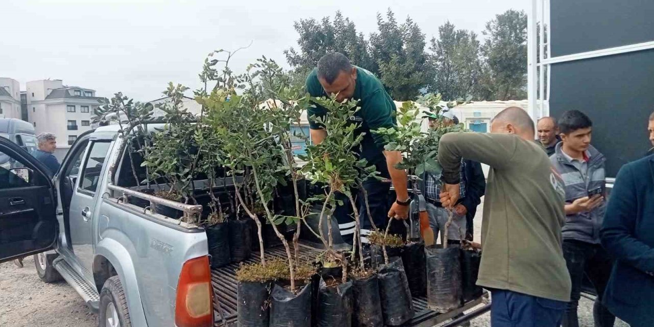 Alanya’nın coğrafi işaretli keçiboynuzuna destek