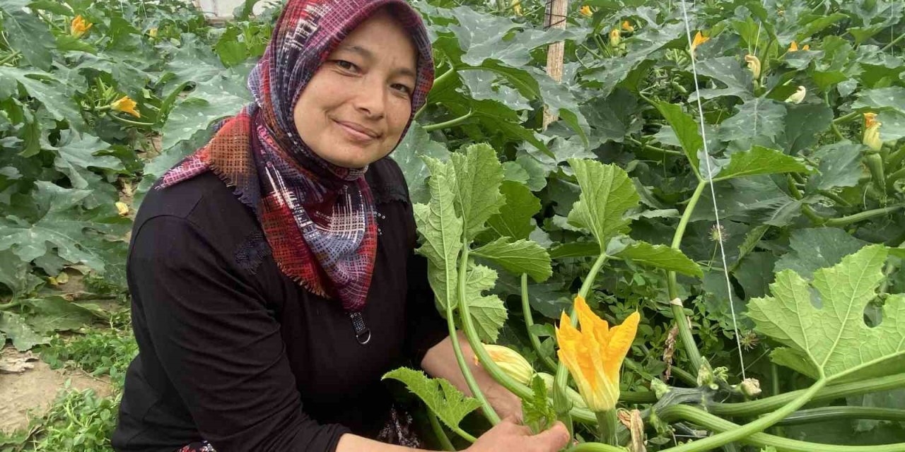 Antalya’da Yetiştiriyor, Avrupa Kapış Kapış Alıyor