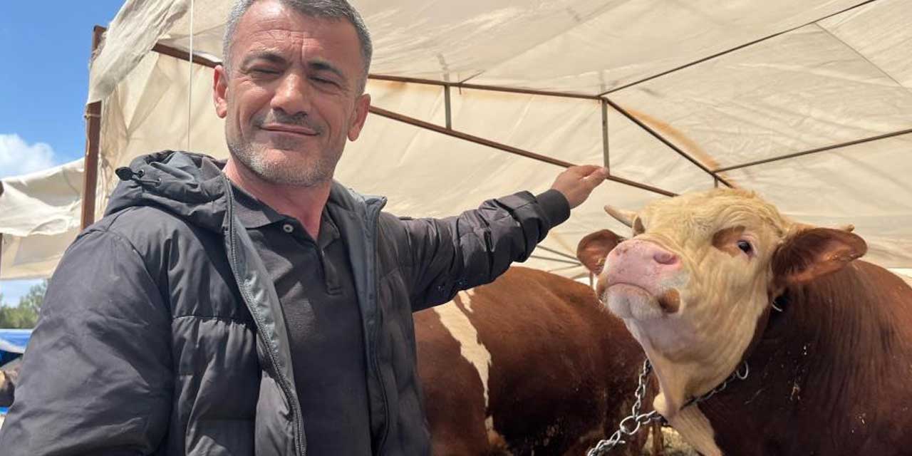 Kurban pazarları kuruldu! 85 bin liradan başlıyor