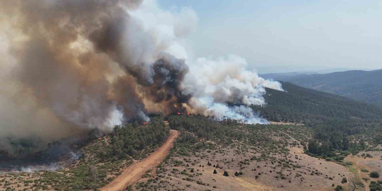 Bursa’nın Kara Yazı Yeşil Bahara Dönüyor: 2 Bin Kilometrelik Mucize!