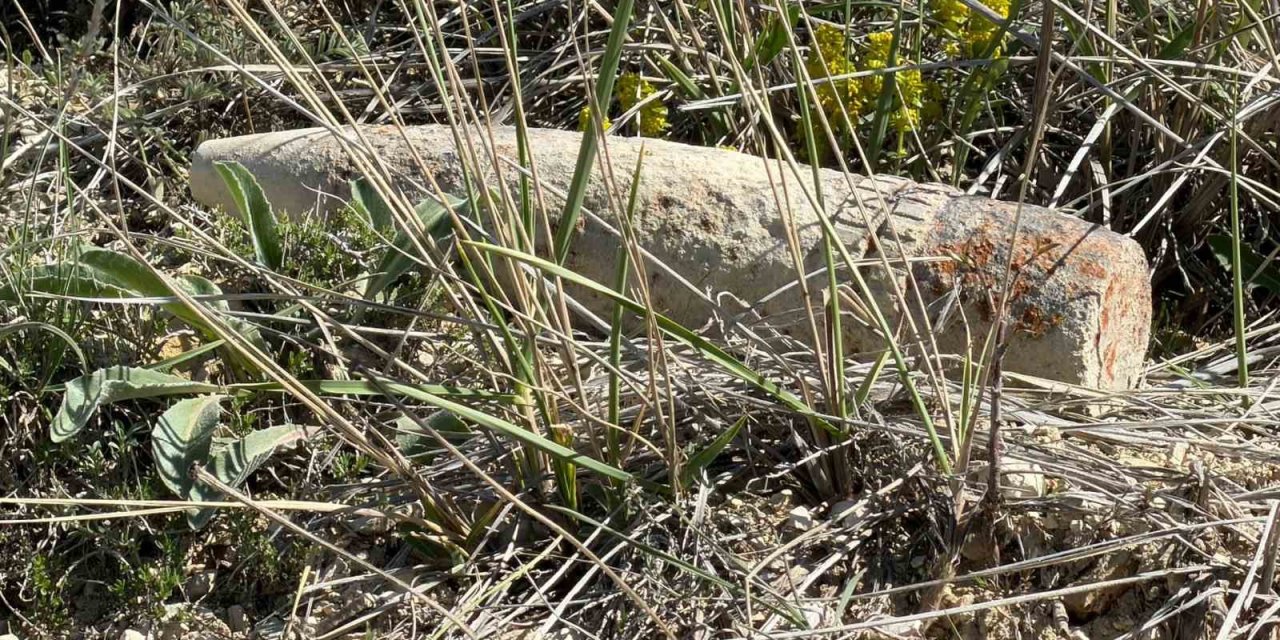 Mantar ararken patlamamış top mermisi buldular