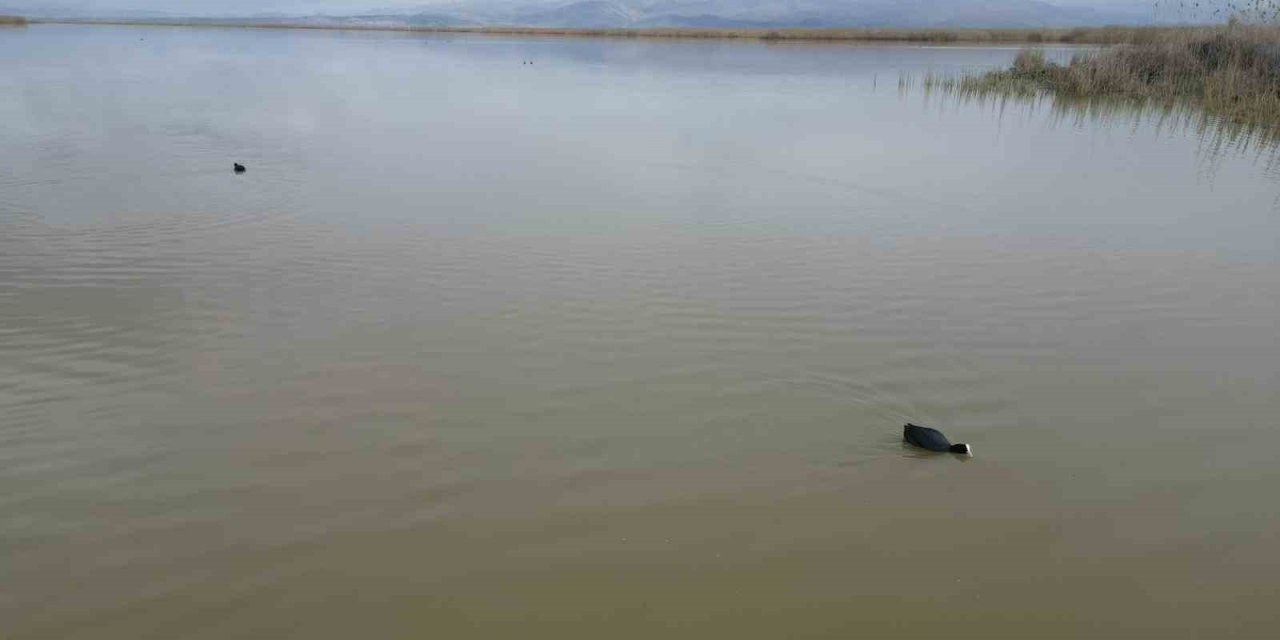 Karaya oturan kayıklar yüzmeye başladı, ortaya çıkan adacıklar yok oldu