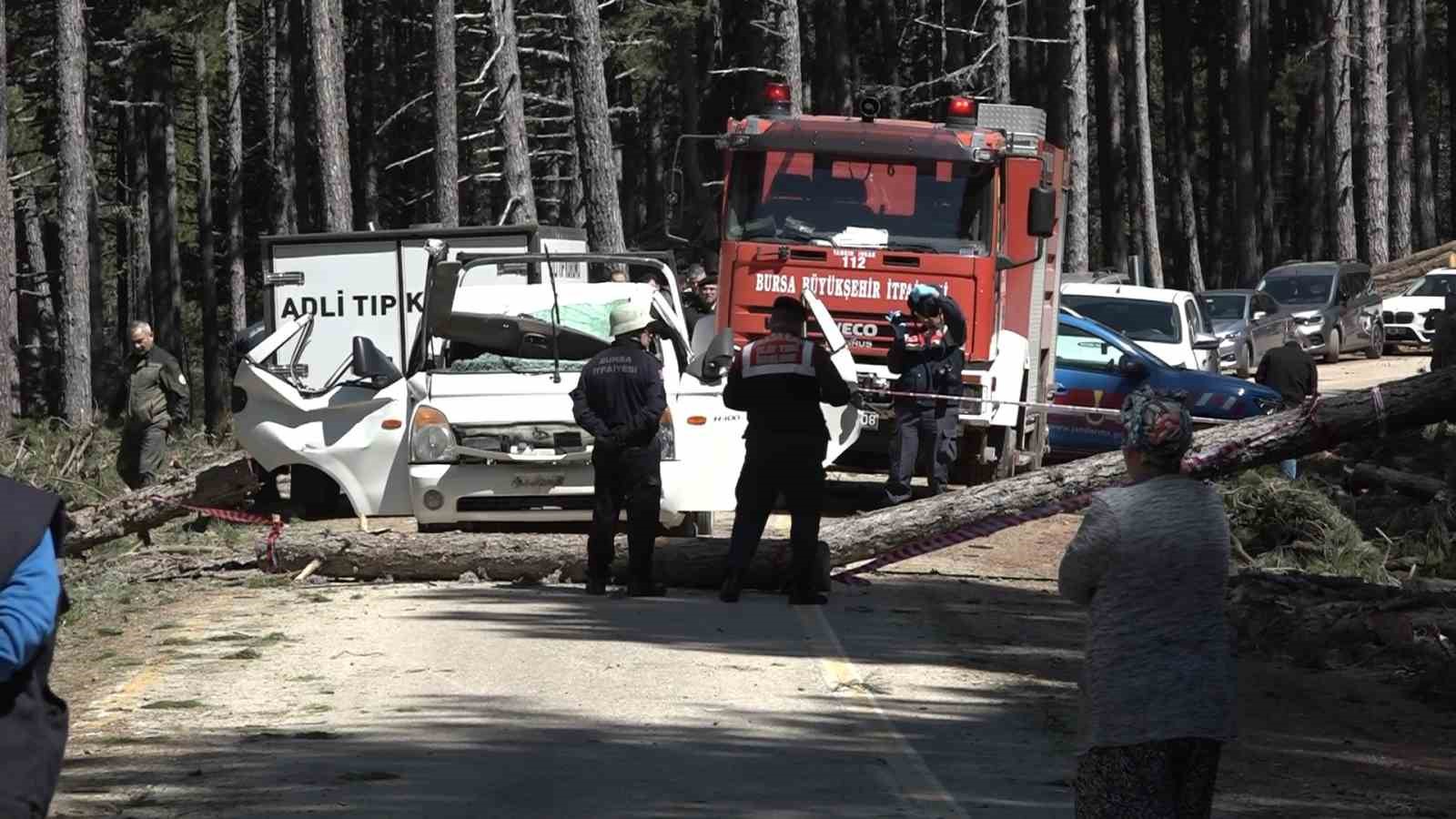 Kesilen ağaç seyir halindeki kamyonetin üzerine devrildi