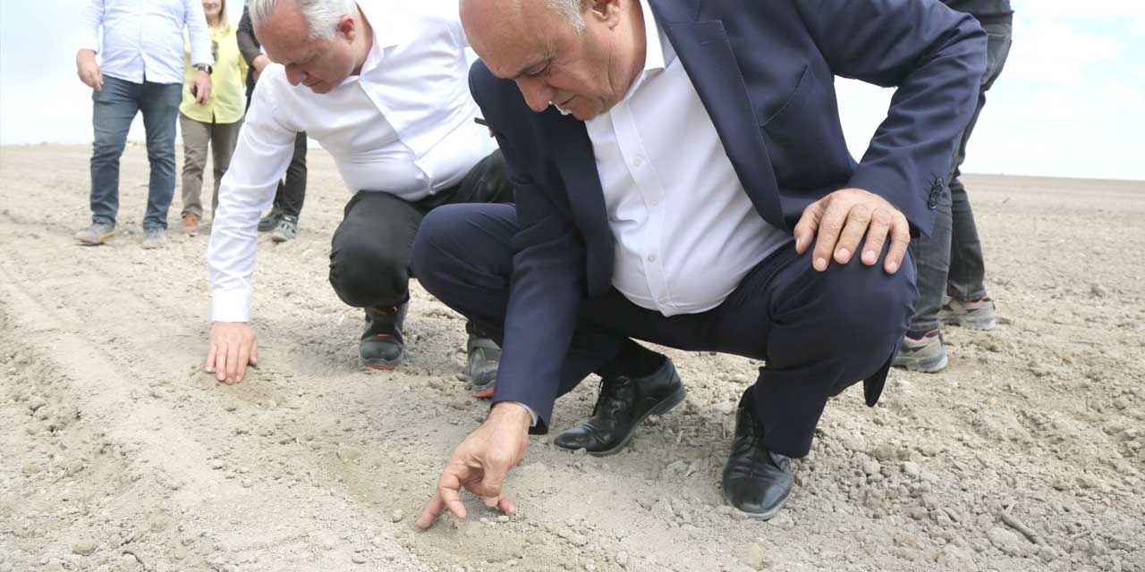 Pancar Üretiminde Kritik Eşik: Kazanç Sistemi Değişmezse Risk Kapıda!