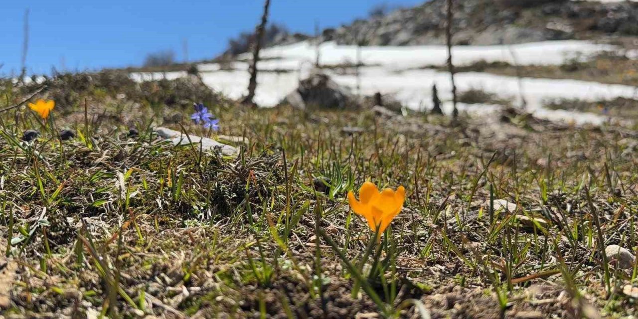 Bahar ve kış mevsimi aynı anda görüntülendi