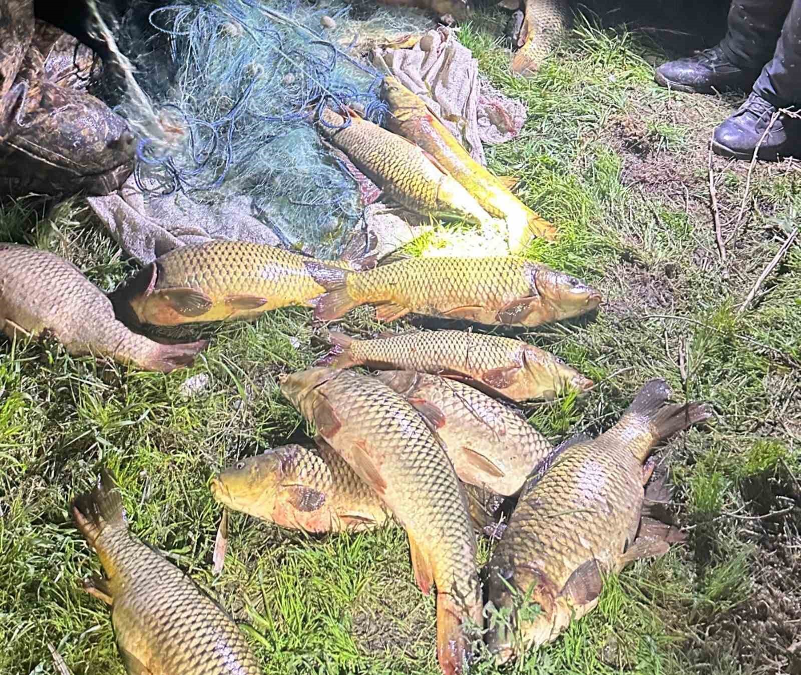 Eğirdir Gölü’nde 100 kilo sazan yeniden göle bırakıldı