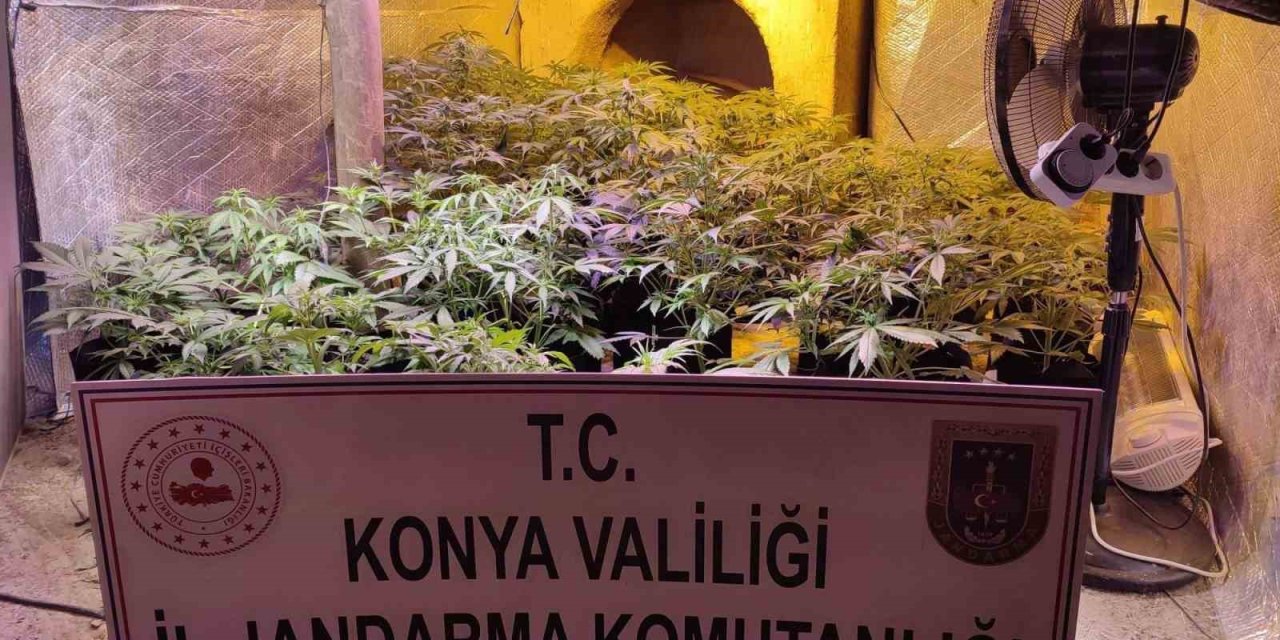 Konya'da Şafak Baskınları: Tonlarca Uyuşturucu, Onlarca Gözaltı