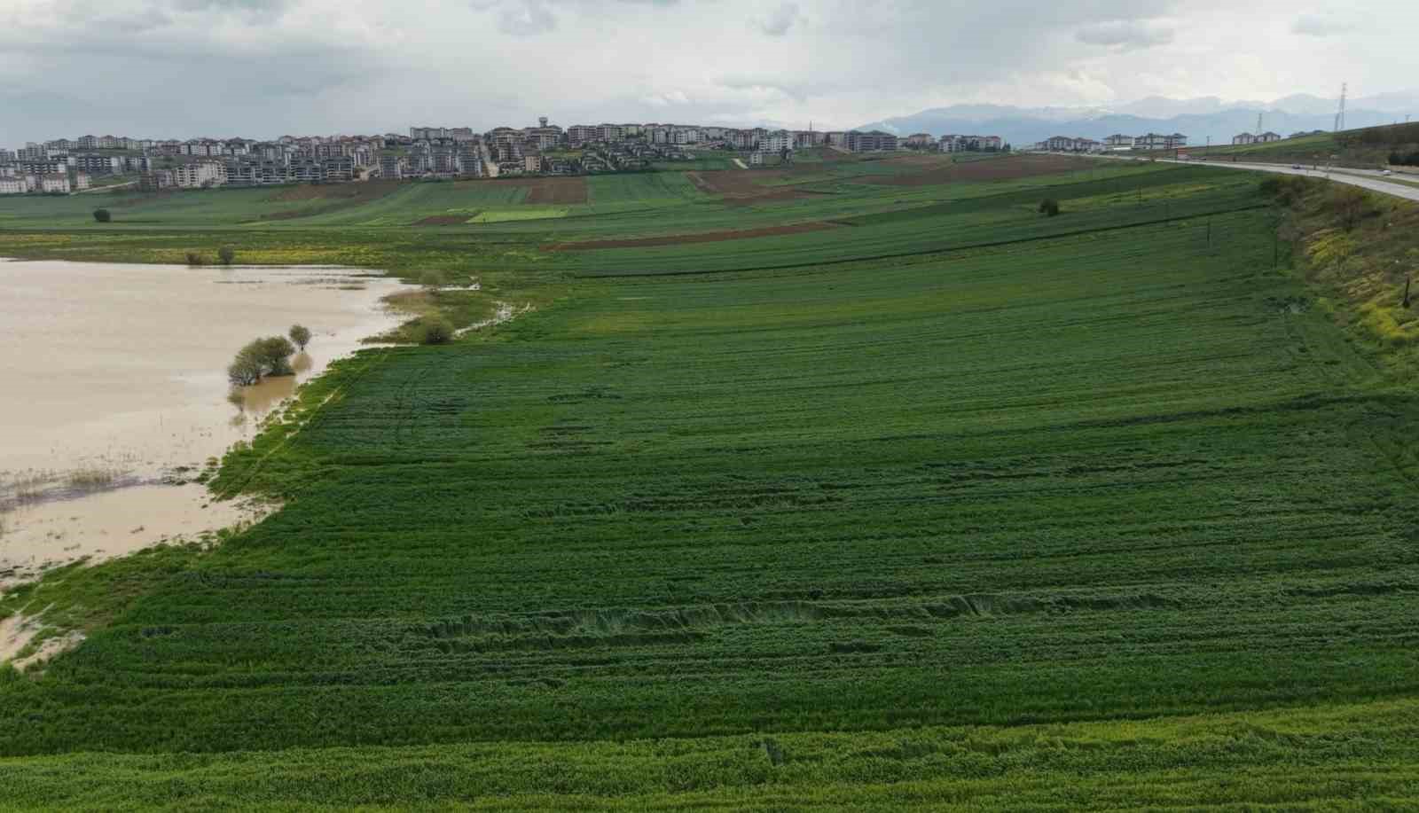 Bursa'da "Bereket" Taştı: Barajlar Doldu, 500 Dekar Alan Sular Altında!