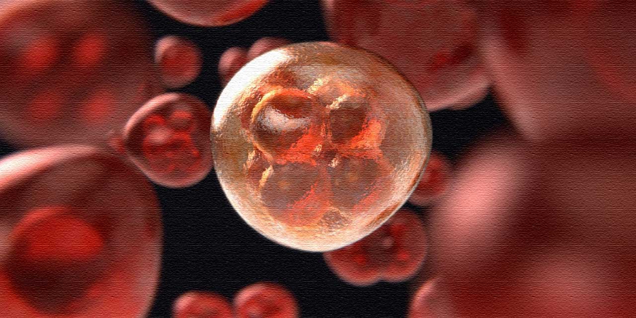 Bilim Dünyası Şaşkın: RSV Virüsü Kanser Metastazını Durdurabilir Mi?