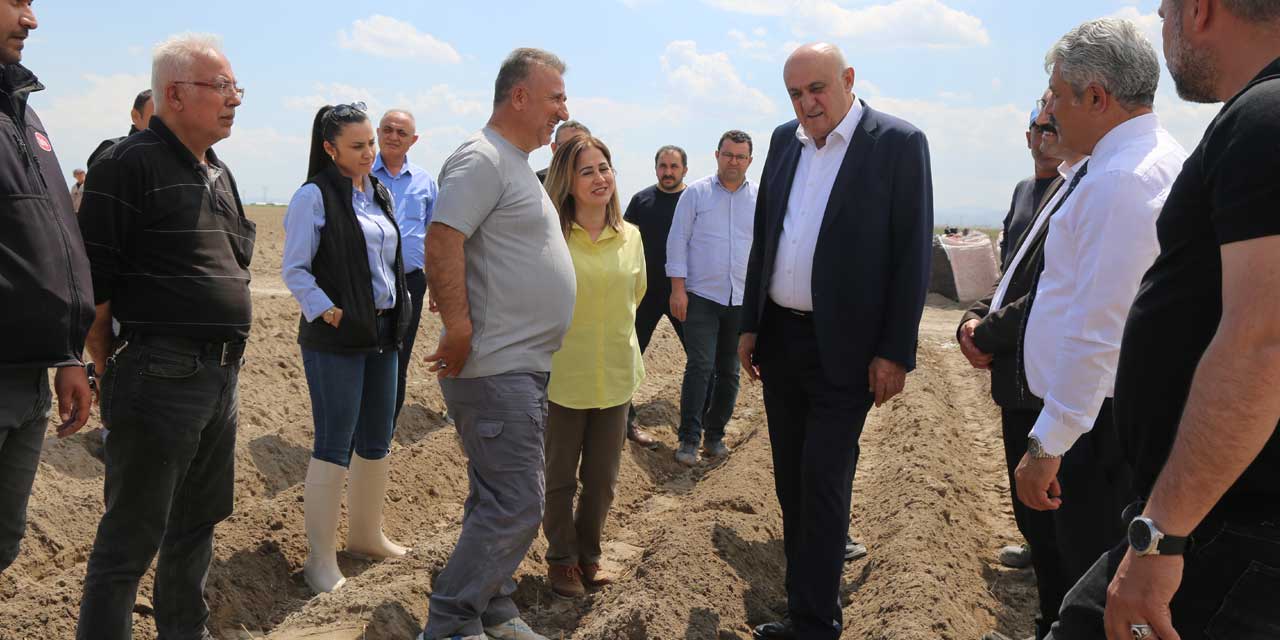 Konya'da Tarımda Tarihi Devrim: Patateste İthalat Dönemi Tamamen Kapanıyor!