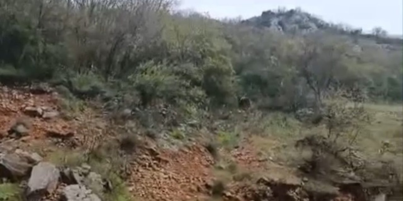Orhaneli yolunda ayı paniği kamerada