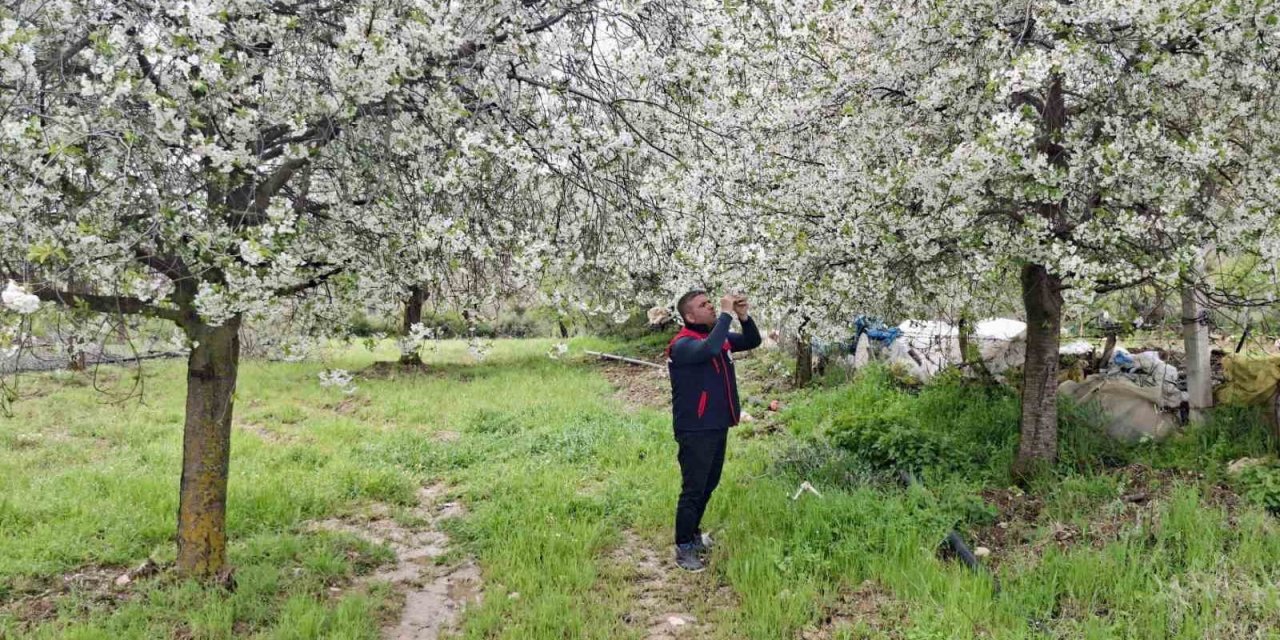 Afyon'da Tarım Arazilerinde Hasar Tespit Mesaisi Başladı