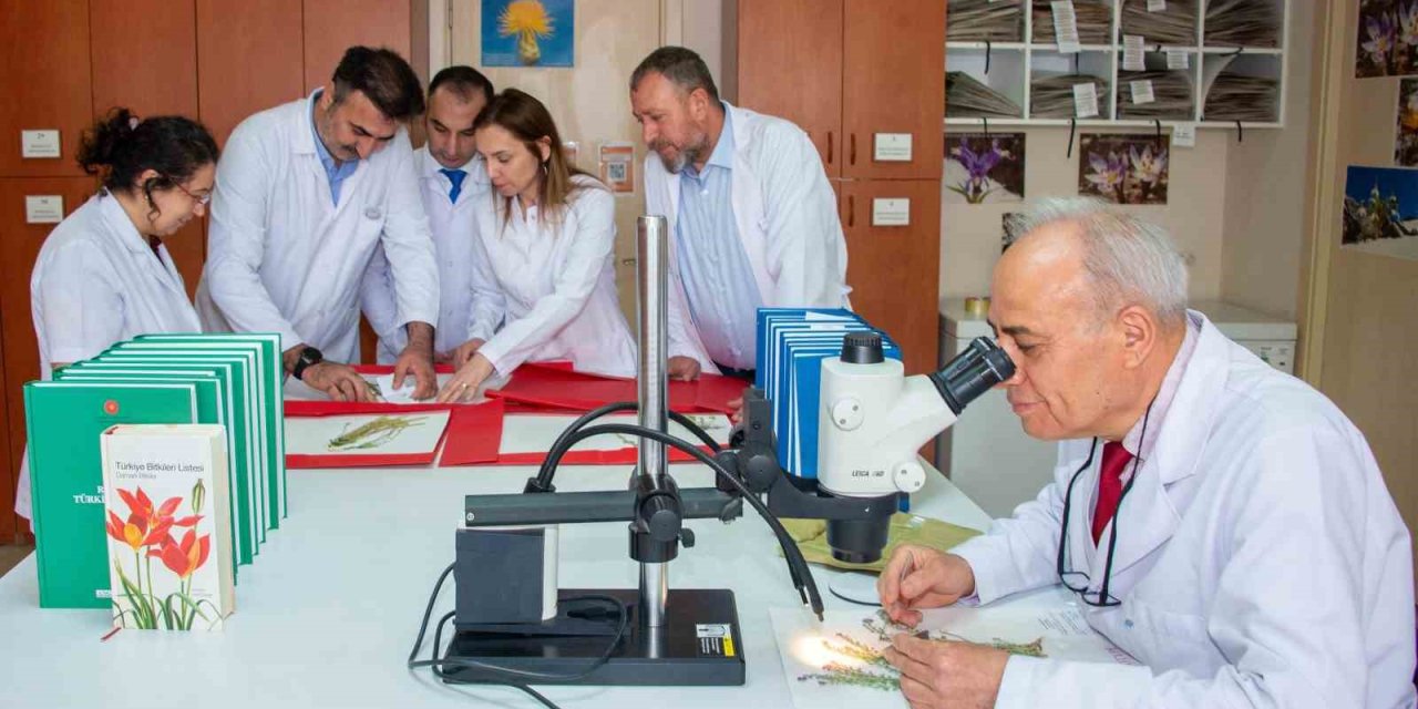 Toroslar'ın Saklı Hazineleri Gün Yüzüne Çıktı: 4 Yeni Bitki Türü Keşfedildi