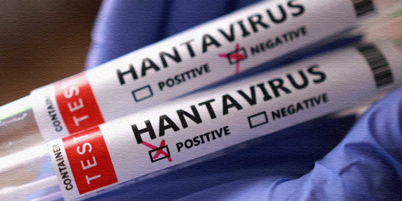 Hantavirüs Evrim Geçirdi! Andes Varyantı İnsandan İnsana Geçiyor