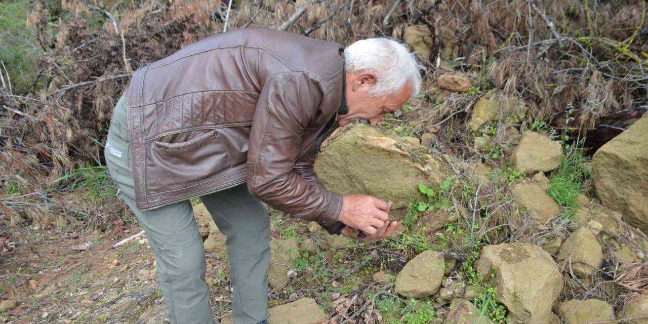 Bilecik'te Yangın Bölgesinden Kilogramı 7 Bin 500 TL'lik Mucize Fışkırdı