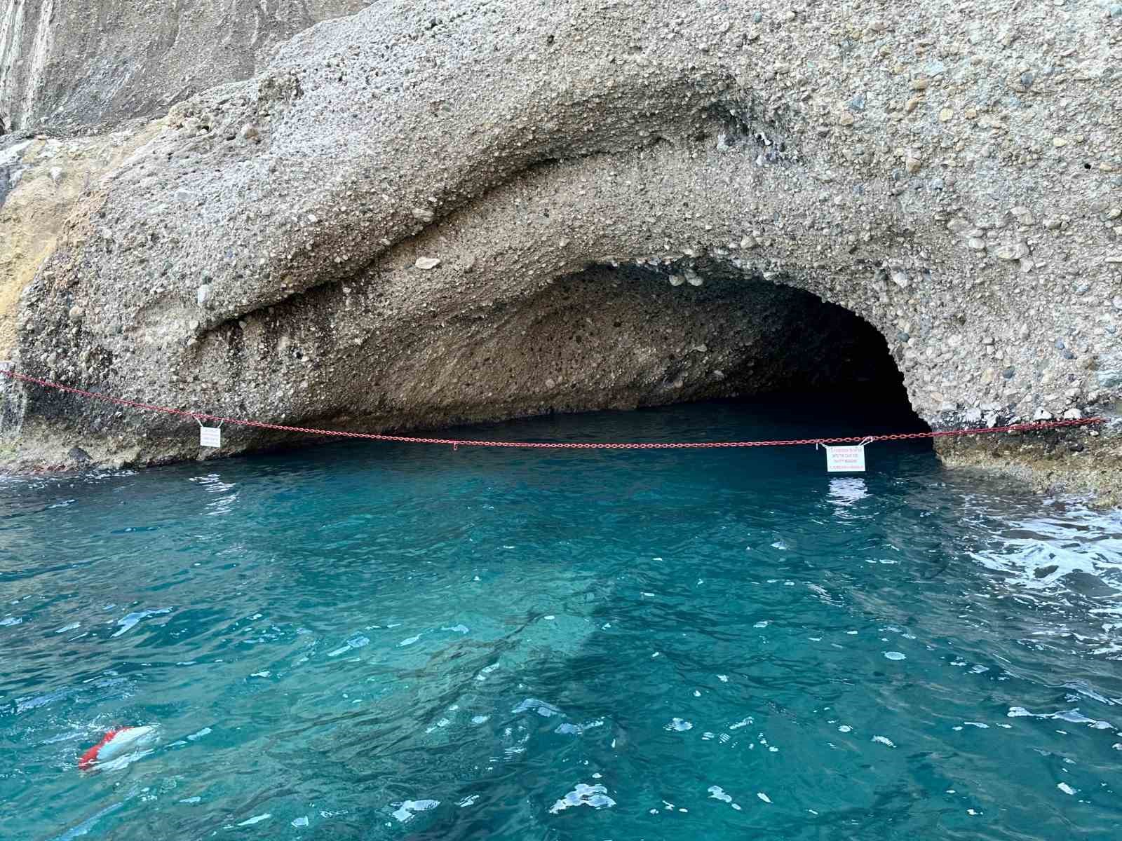Akdeniz fokları Antalya'da burada yaşıyor