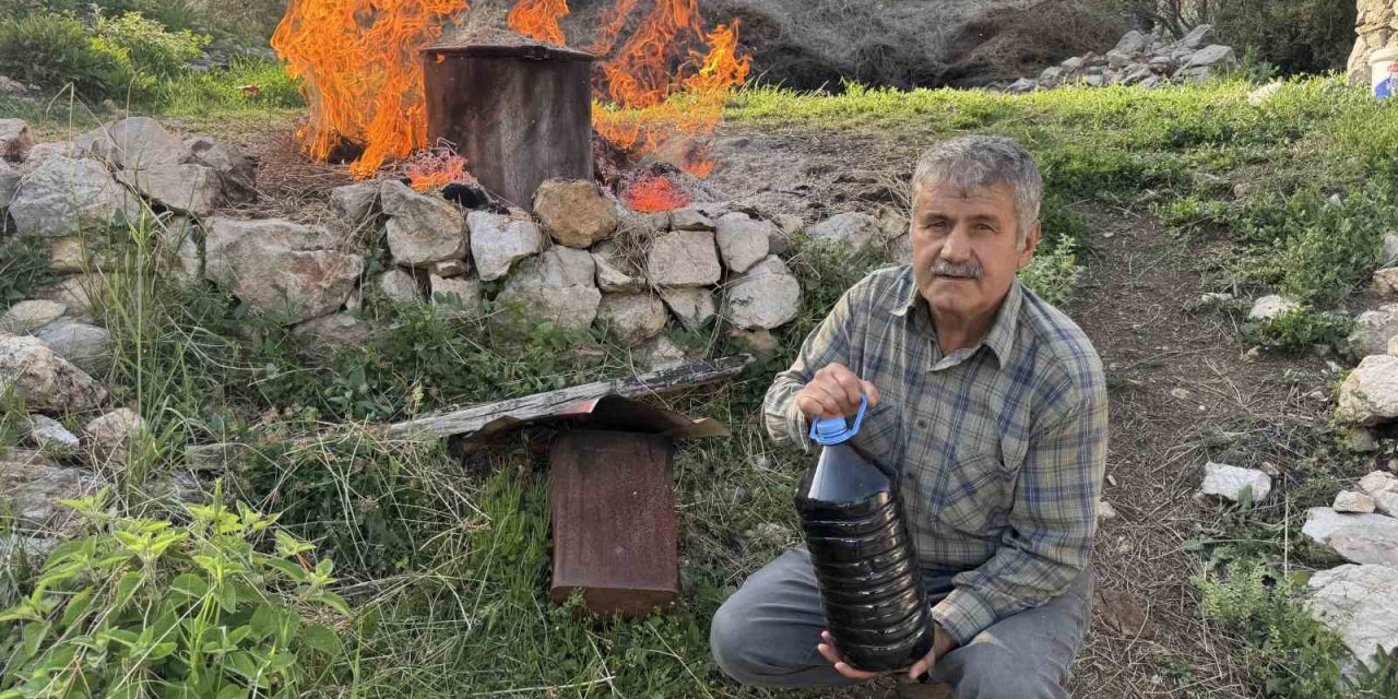 Toroslar'dan Dünyaya: 31 Çeşit Yağla Şifa Dağıtıyor