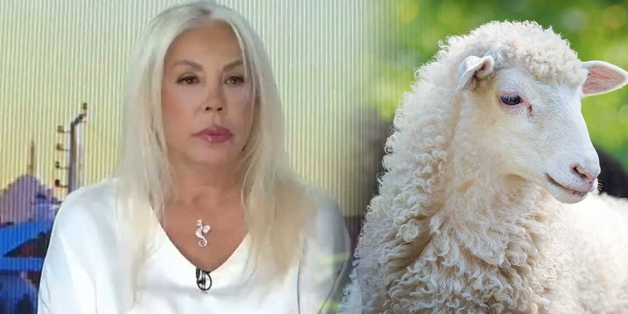Semiha Yankı'dan Olay Kurban Bayramı Paylaşımı: "Benim Bayramım Değil"