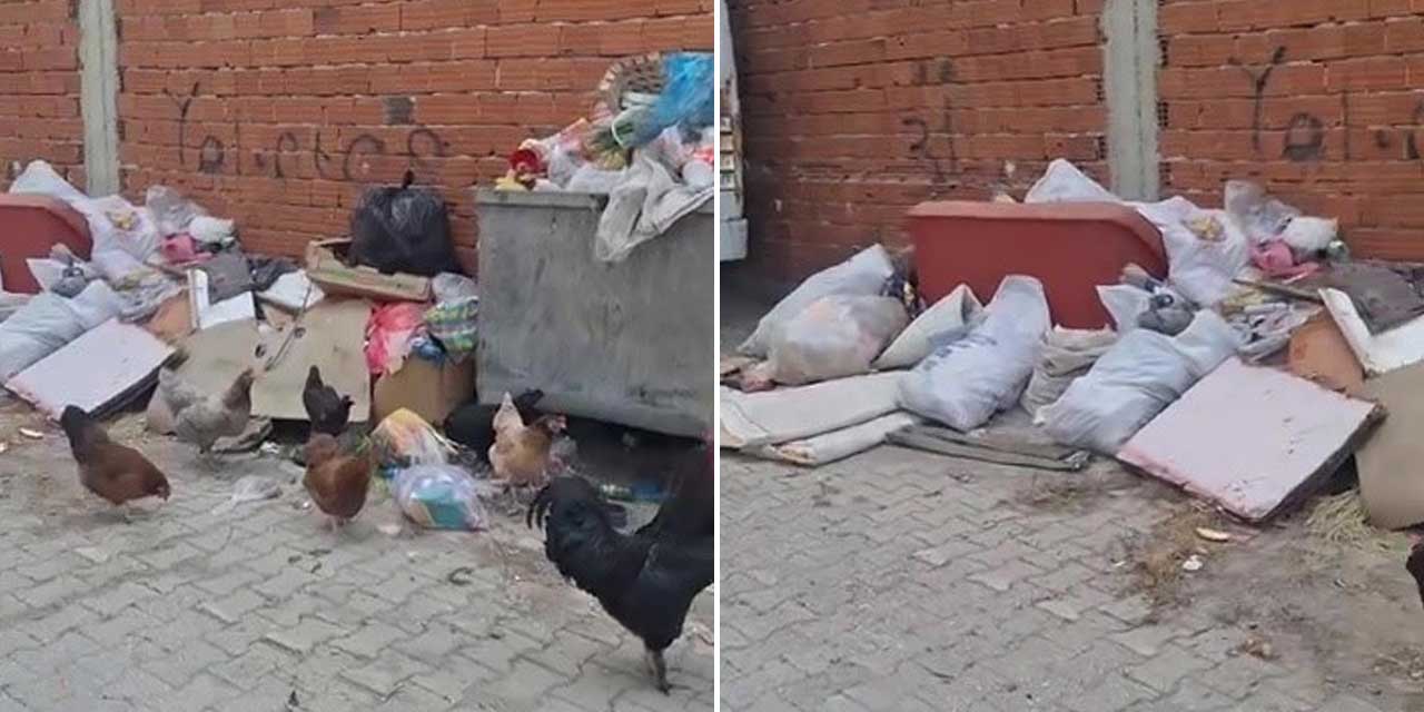 Yalıntaş’ta Çöp Çilesi: Mahalleli İsyan Etti