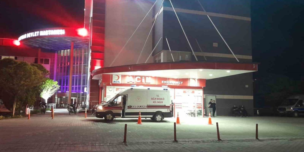 Yola fırlayan köpek kazaya neden oldu: 4 kişi yaralandı