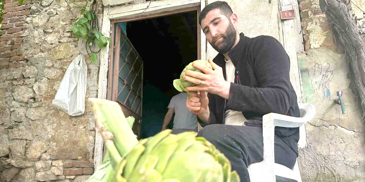 Enginar soyarak ayda 240 bin lira kazanıyor