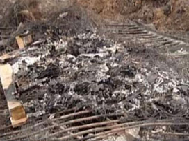 Rusya'da 300 bin tavuk açlıktan telef oldu