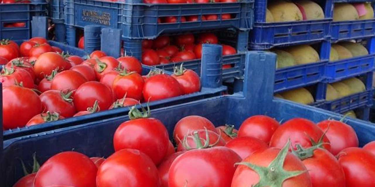 Domates Fiyatları Çakıldı: Etiketler 15 TL'ye Geriledi