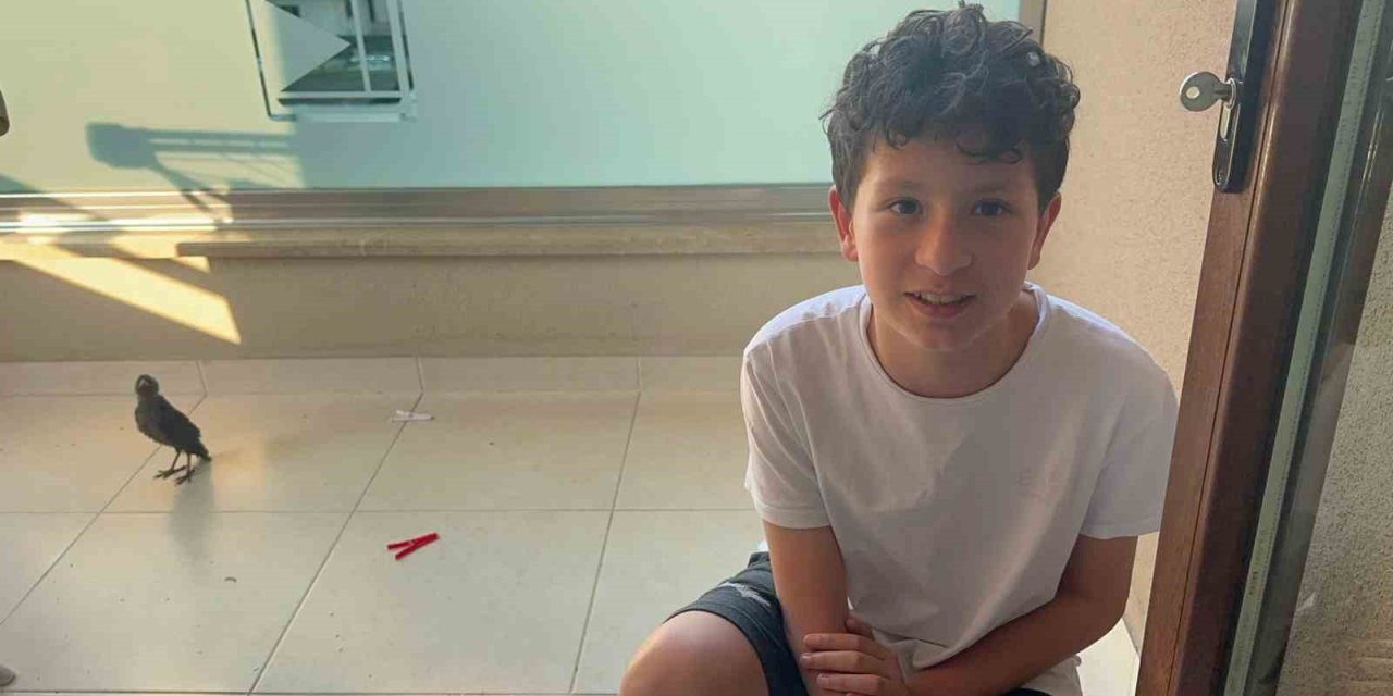 Bulduğu yavru kargalara evinde bakıyor