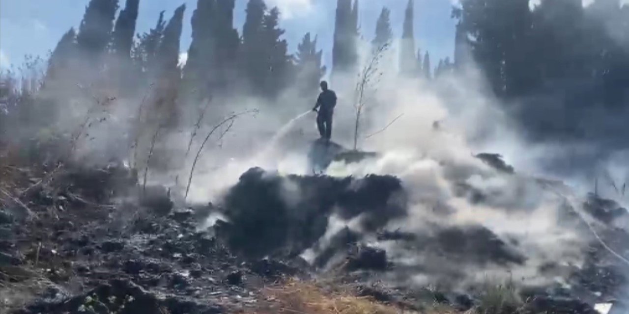 Otluk alanda çıkan yangın seralara sıçramadan söndürüldü
