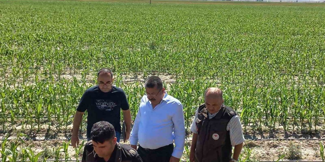 Karapınar’da dolu afetinin etkilediği alanlarda inceleme