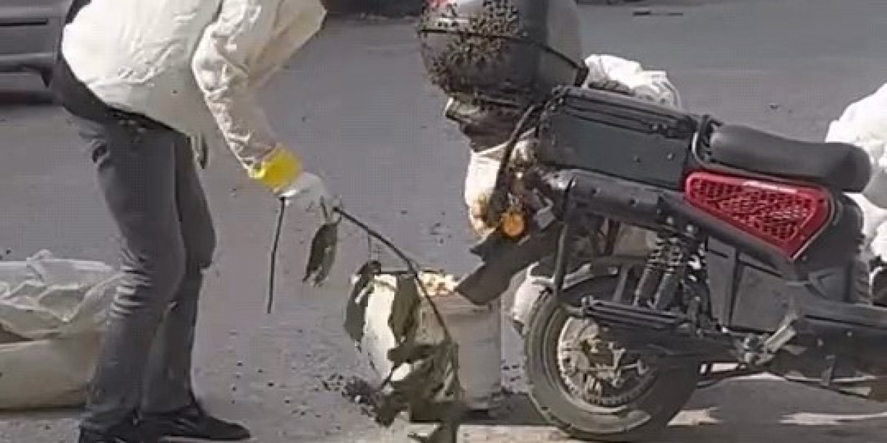 Arılar motosiklette oğul verdi
