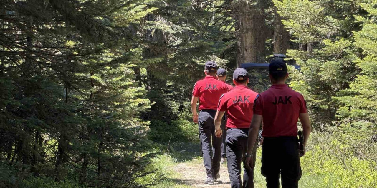 Bursa'da Orman Girişleri Yasaklandı! Hangi Mesire Alanları Açık?