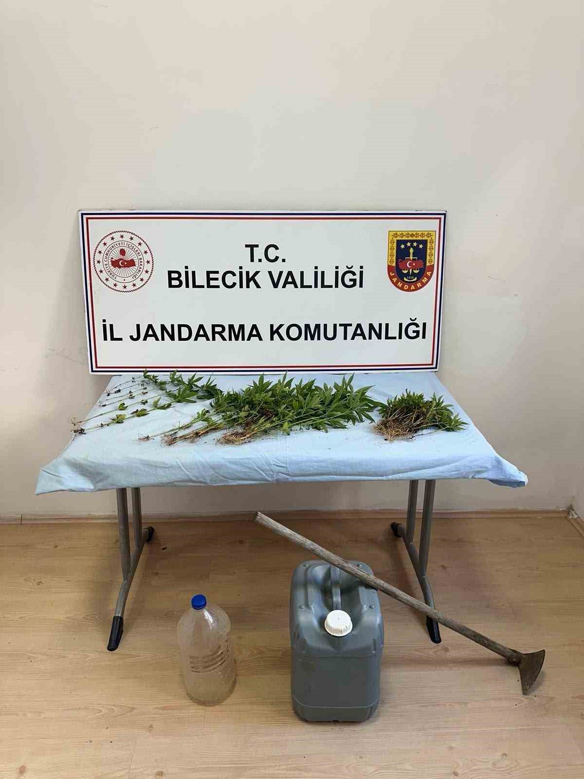 Yer: Bilecik! Kenevir ekti sulamaya gelince yakalandı