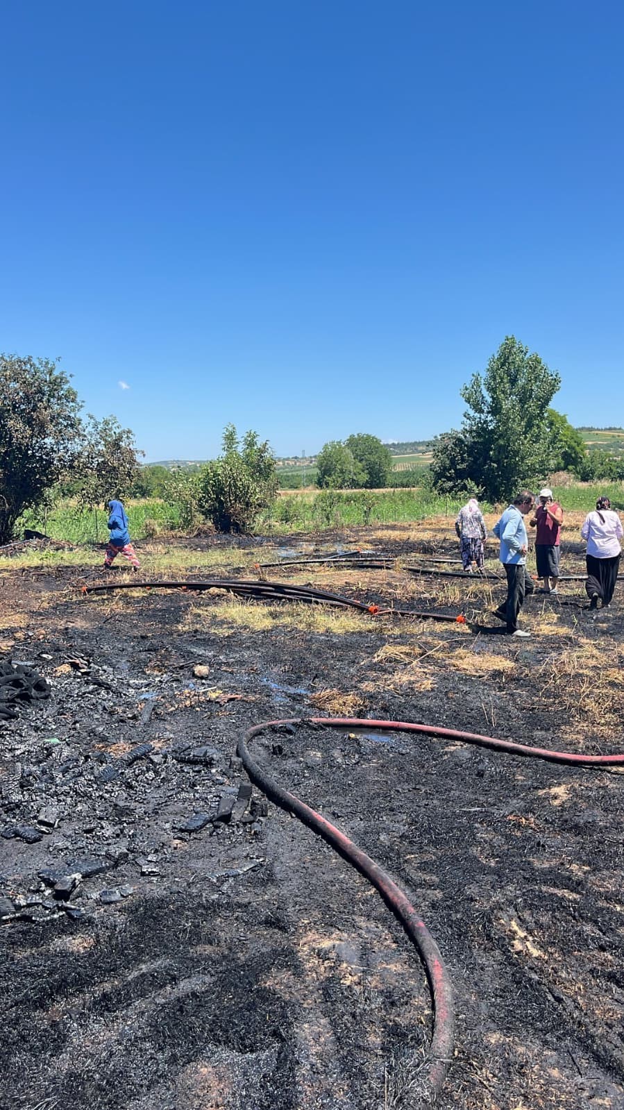 Anızı yaktı 20 dönüm arazi küle döndü