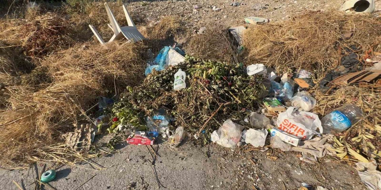 Mordoğan’da Konteyner Krizi ve Domuz Tehlikesi