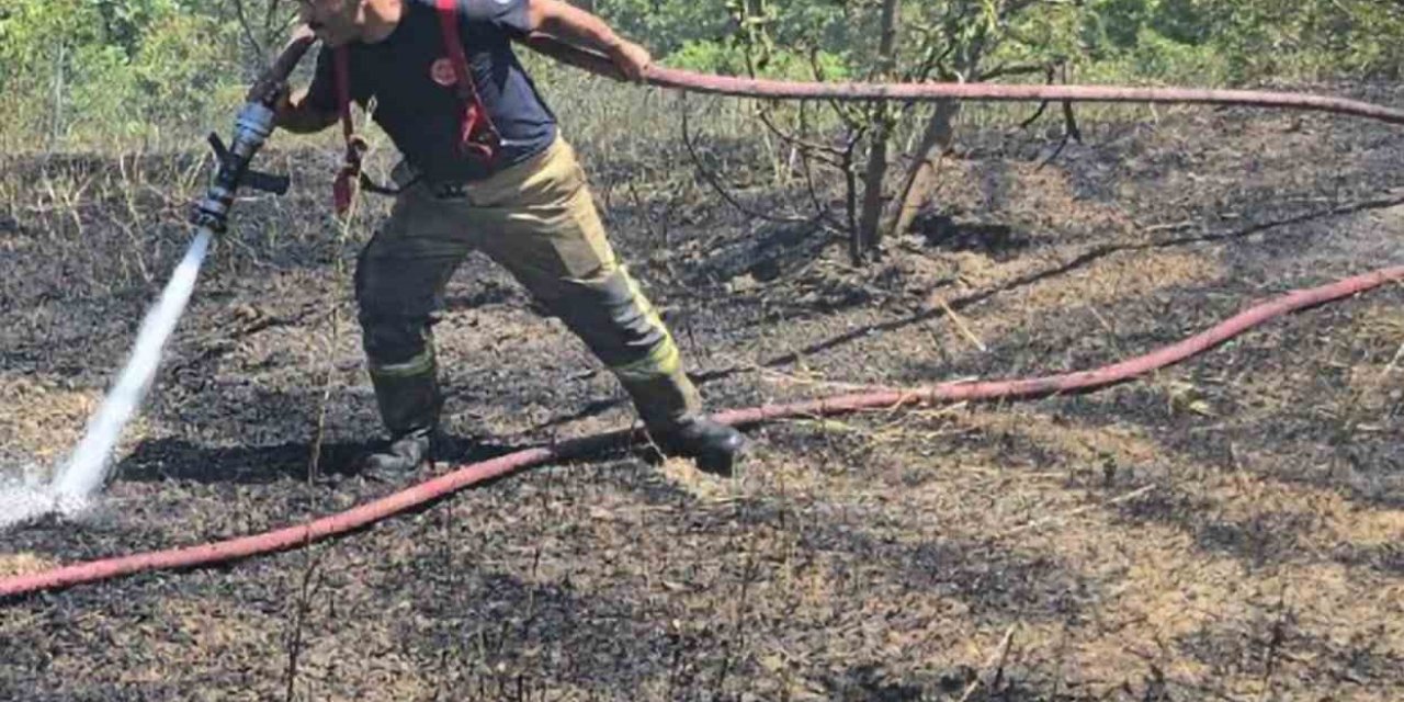 Bahçede çöp yaktı, 4 dönümlük alanı küle çevirdi