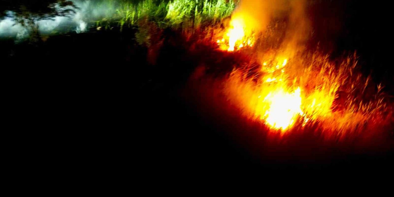 Eber Gölü’nde Sazlık Yangını: Doğal Engel Felaketi Önledi